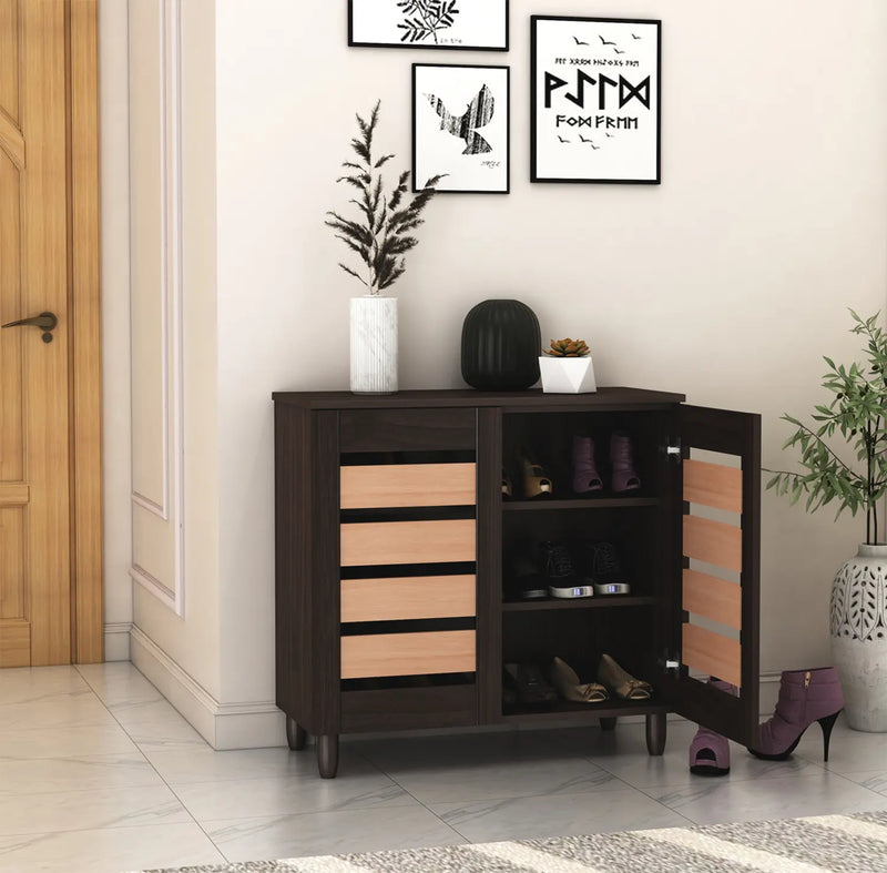 Two-Door Modern Two-Tone Engineered Wood Shoe Rack for Compact and Spacious Storage