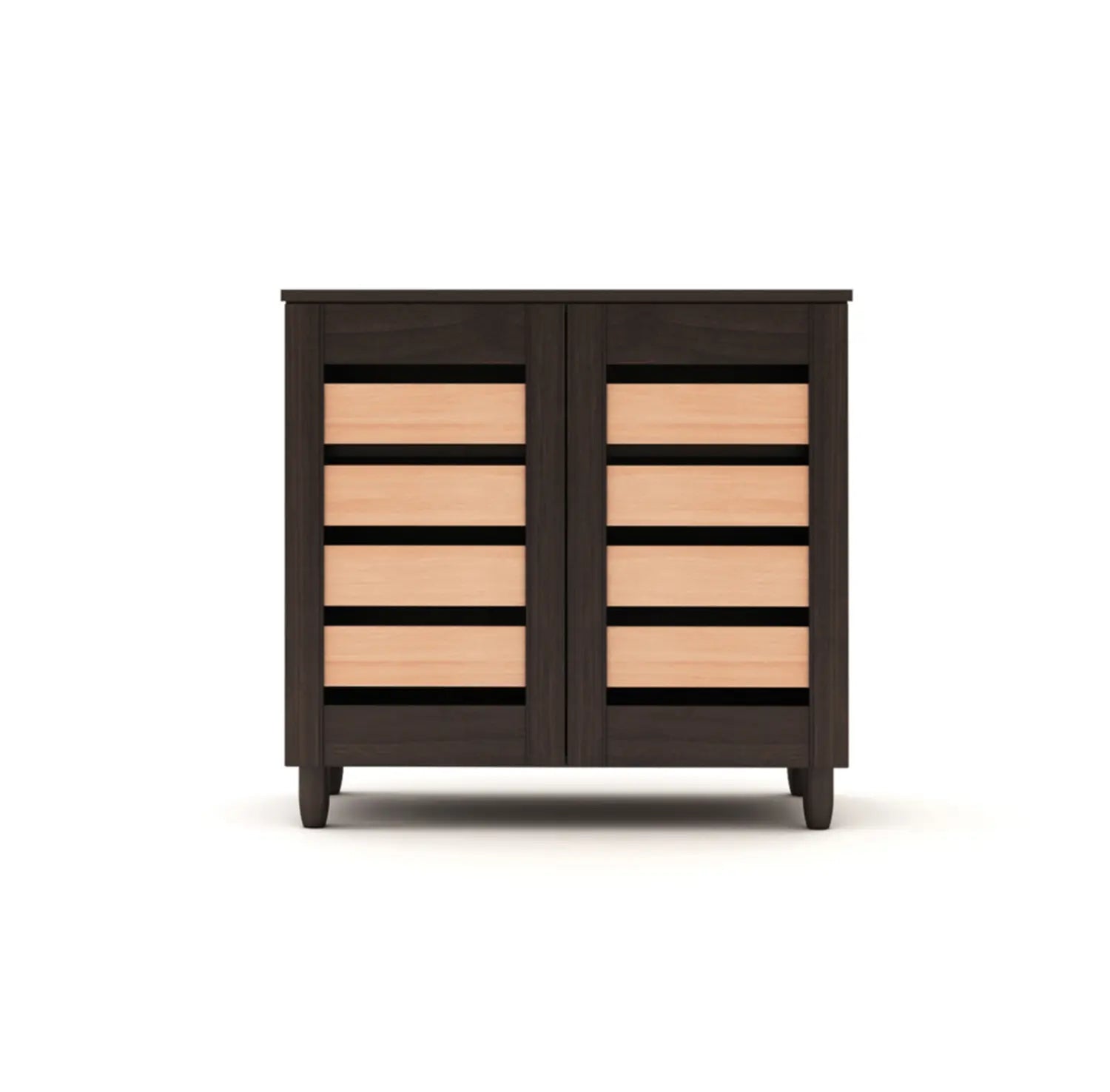Two-Door Modern Two-Tone Engineered Wood Shoe Rack for Compact and Spacious Storage