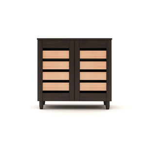 Two-Door Modern Two-Tone Engineered Wood Shoe Rack for Compact and Spacious Storage