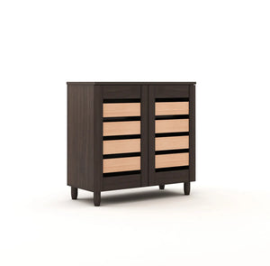 Two-Door Modern Two-Tone Engineered Wood Shoe Rack for Compact and Spacious Storage