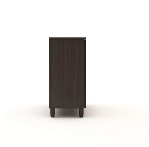 Two-Door Modern Two-Tone Engineered Wood Shoe Rack for Compact and Spacious Storage